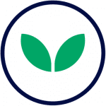 friggitrici green friggitrici green