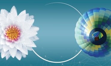 Linea 6000 Electrolux Professional