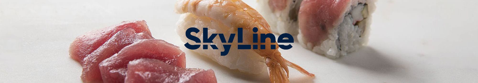 skyline abbattitori temperatura skyline abbattitori temperatura