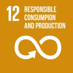 12-Responsible-consumption-and-production 12-Responsible-consumption-and-production