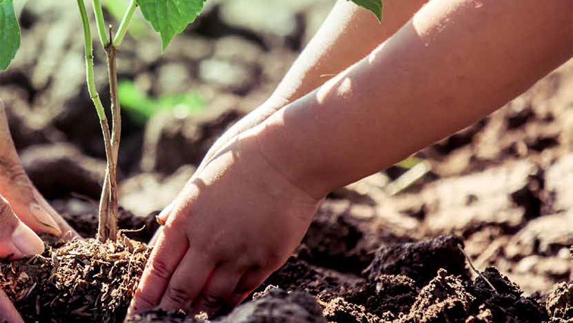 A sustainable approach A sustainable approach