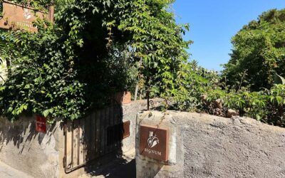 Hotel Signum Salina Hotel Signum Salina