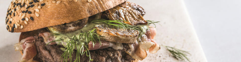 liberopro_griddle_970x377 liberopro_griddle_970x377