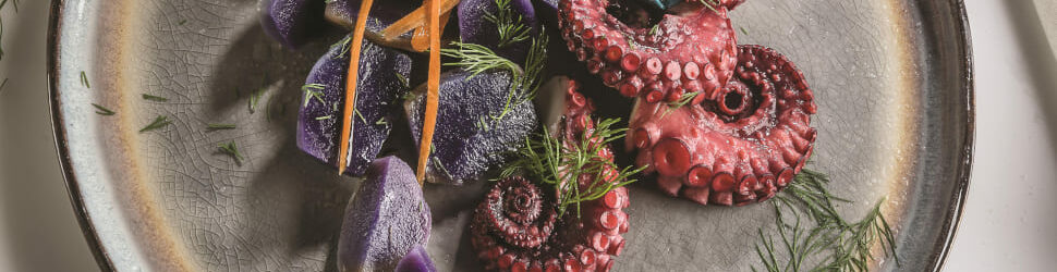 liberopro_induction_970x377 liberopro_induction_970x377