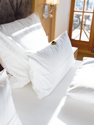 EPR_landinf_myPRO_2025-08_18_1080 x 1080 EPR_landinf_myPRO_2025-08_18_1080 x 1080